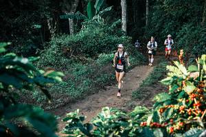 BIB: 
                            <button type="button" onclick="openModal(25807382)" class="btn btn-primary btn-sm float-right btn-popup" data-toggle="modal" data-target=".modal-high-quality">
                        <i class="fas fa-shopping-cart"></i> Add to Cart
                    </button>
                                            <button type="button" onclick="isThisMe(25807382, true)" class="btn btn-success btn-sm float-right btn-popup btn-isme hidden" data-toggle="tooltip" data-placement="bottom" title="นี่คือรูปของคุณใช่ไหม คลิกที่นี่เพื่อเอาเข้าอัลบั้ม">
                        <i class="fas fa-plus"></i> Add to album
                    </button>
                    <button type="button" onclick="isThisMe(25807382, false)" class="btn btn-warning btn-sm float-right btn-popup btn-isnotme hidden">
                        <i class="fas fa-ban"></i> Remove from album
                    </button>